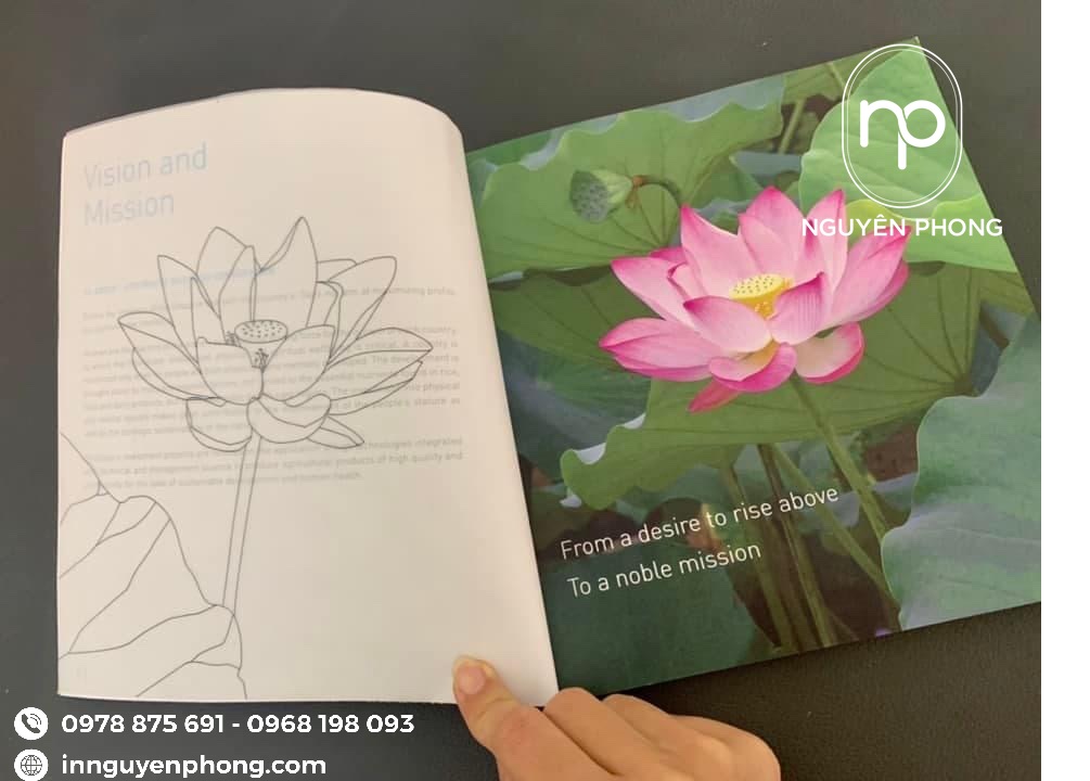 Catalogue của tập đoàn TH true MILK